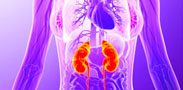 Treating Kidney Infection1